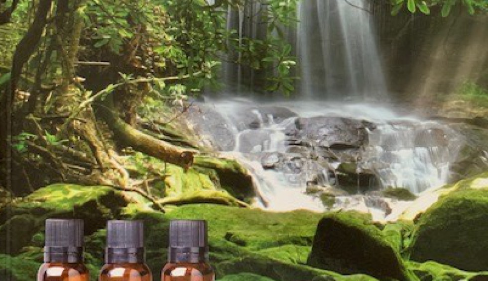 doTERRA 4.jpg